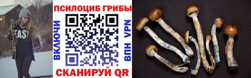 Галлюциногенные грибы ЛСД  ссылка на мегу ТОР  Тетюши 